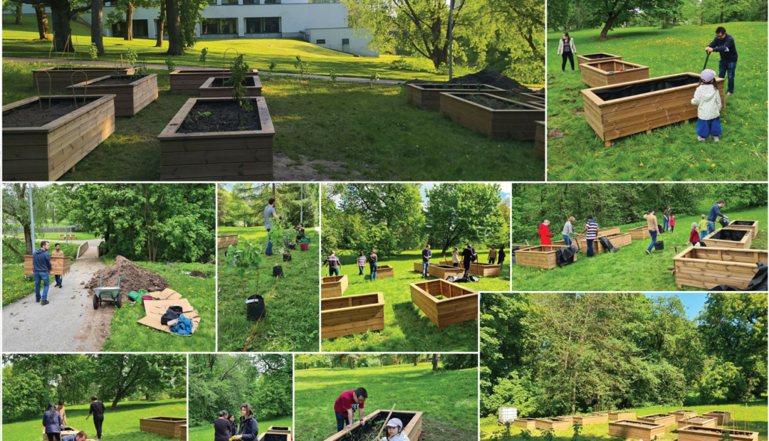 Test 11 EMÜ kogukonnaaed